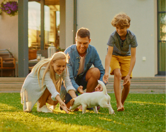 Centro de Seguros Liverpool | Pif informativo | PIF Superior